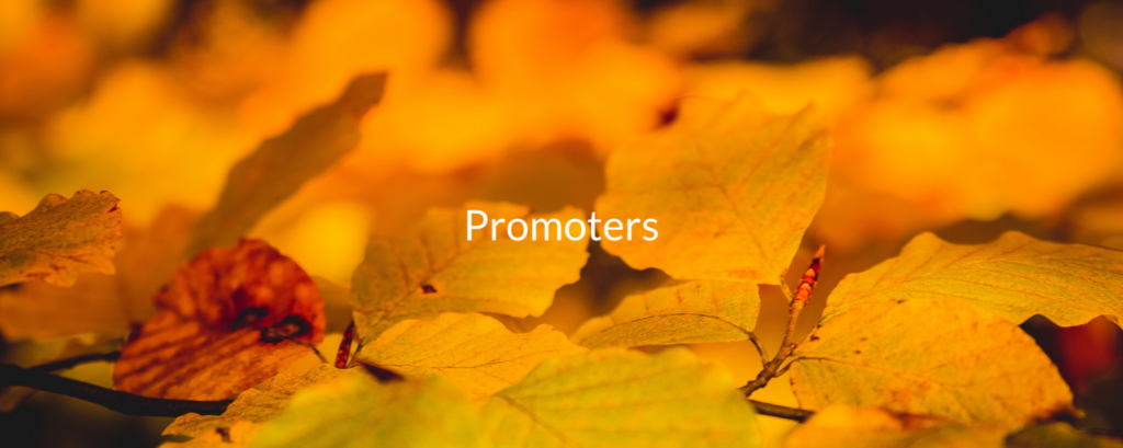 Name-IS-Promoters-1024x409